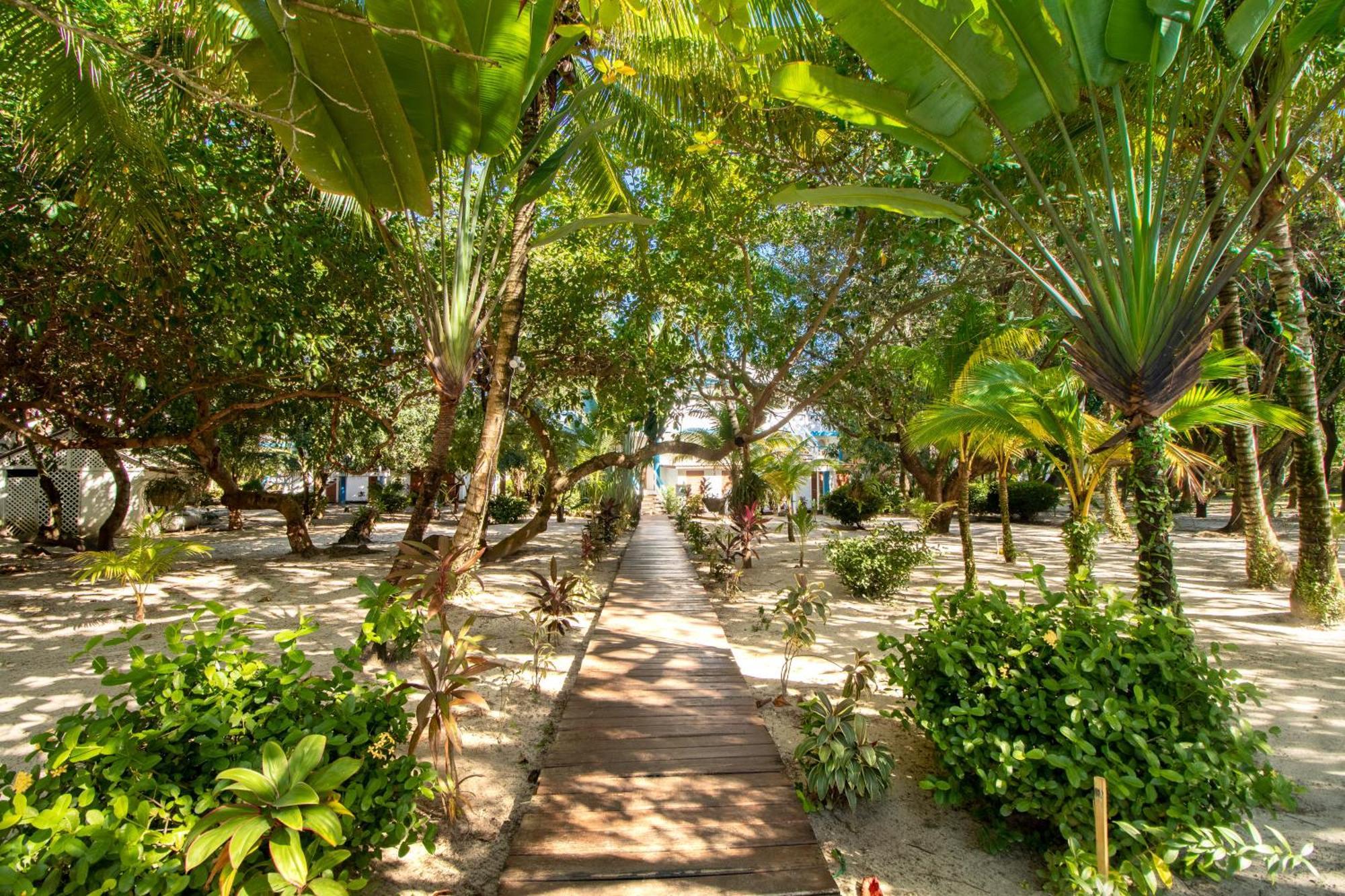 Condo #24 @ Beachside Villas Placencia Exterior foto